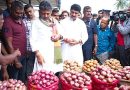 DK Shivakumar Makes Surprise 6 AM Visit to Yeshwantpur APMC; Orders Arrests Over Child Labour